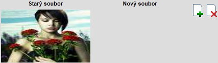 Výběr souboru