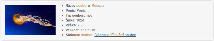 Vlastnosti souboru